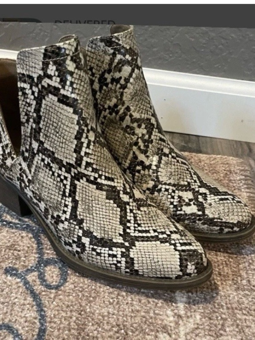 Volatile Snake-Print Ankle Booties in Black & White